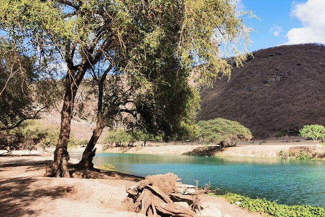 East Salalah Highlights: Half-Day Heritage & Scenic Countryside - Price and Value: What $170 Really Buys in East Salalah