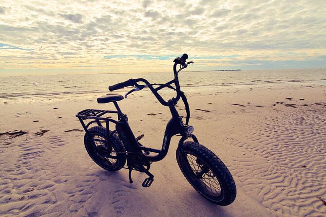 Electric Bike Wildlife & History Tour along Fort De Soto's Beaches - Historic Fort Desoto in 30 minutes: the right amount of fort time