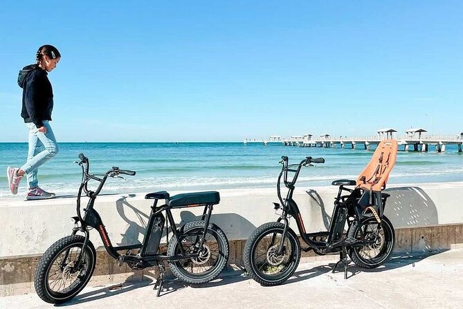 Electric Bike Wildlife & History Tour along Fort De Soto's Beaches - The guide matters: you’ll feel it in how stops are handled