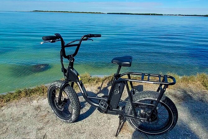 Electric Bike Wildlife & History Tour along Fort De Soto's Beaches - What to pack and what to watch out for