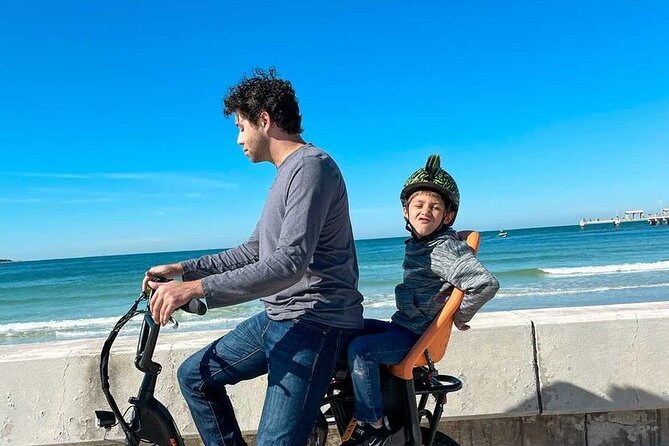 Electric Bike Wildlife & History Tour along Fort De Soto's Beaches - Price and value: $75 for e-bikes, helmets, and real admissions