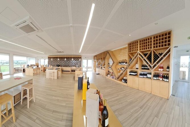 Évora, Private Tour with Wine Tasting and Lots of History - Corticarte cork art: the short stop that actually teaches you something