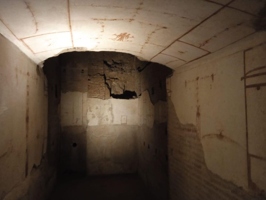 Exclusive tour of Ancient Rome and Domus Tiberiana - Key points I’d plan around