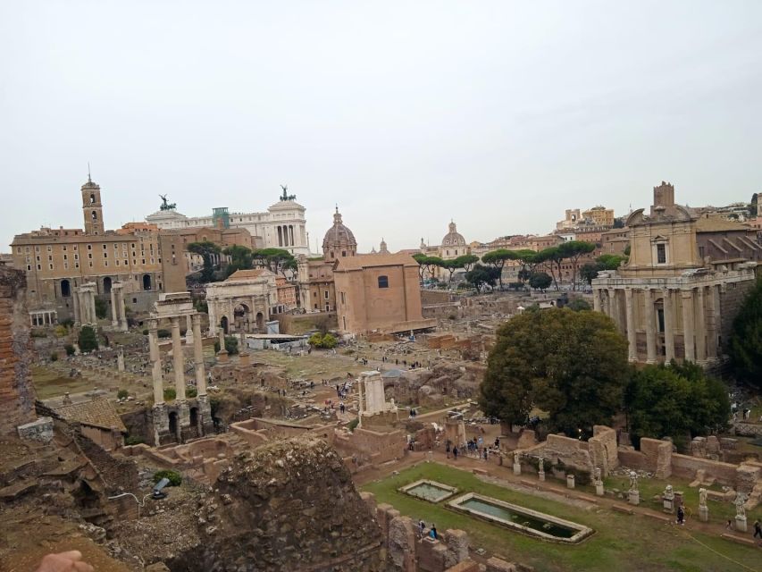 Exclusive tour of Ancient Rome and Domus Tiberiana - How the Forum and Palatine connect city life to politics