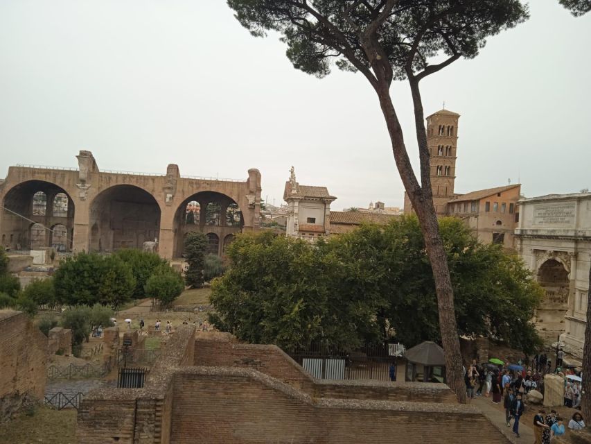 Exclusive tour of Ancient Rome and Domus Tiberiana - What the visit includes (and why that matters for value)
