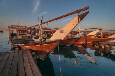 Explore Qatar’s Past: North & West Full-Day Heritage Tour - Al Thakira Mangroves: The Calmer Midday Mood