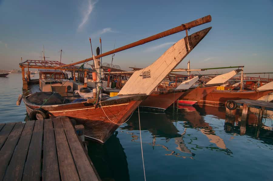 Explore Qatar’s Past: North & West Full-Day Heritage Tour - Al Thakira Mangroves: The Calmer Midday Mood
