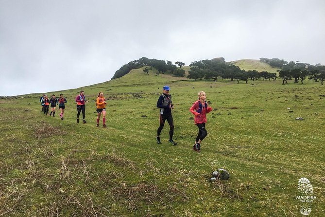 Fanal Ancient Forest Running Tour (Easy-Moderate) - The return along Levada dos Cedros: flatter running, changing footing