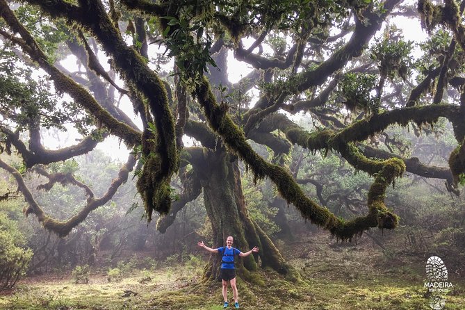 Fanal Ancient Forest Running Tour (Easy-Moderate) - Terrain reality check: dirt, mud, rocks, and roots
