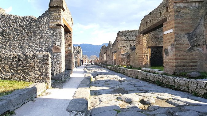 Fast Access Exclusive Private Ancient Pompeii Half Day Tour with Local Guide - Stop 4: Via dell’Abbondanza—walk the main street of villas and shops