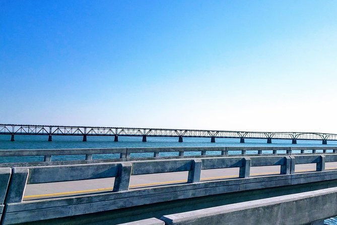 Florida Keys Nature & History Tour from Key West - Blue Hole: Alligators and Other Wildlife in a Short Window