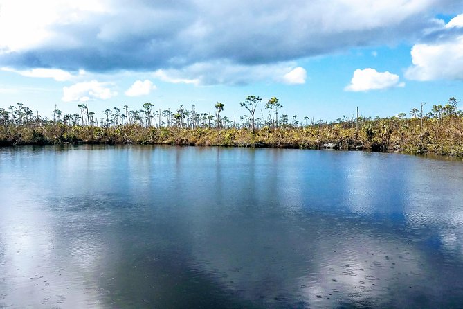 Florida Keys Nature & History Tour from Key West - Who This Tour Fits Best (and Who Might Prefer Something Else)