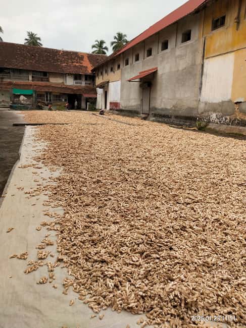 Fortkochi Heritage Walking tour with a local guide - Dhobi Khana laundry: seeing daily life up close