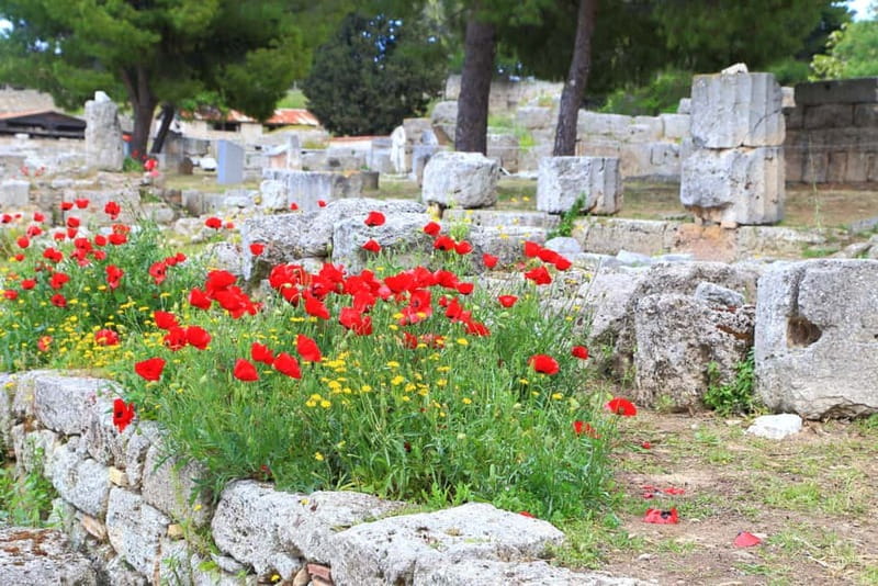 From Athens: Explore Ancient Corinth & Charming Nafplion - Who Should Book (and Who Might Want to Choose Something Else)