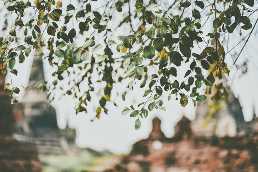 From Bangkok: Ayutthaya Ancient City Temple Tour - Wat Phra Si Sanphet: royal structures and the “three bell” look