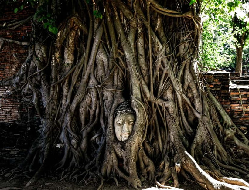 From Bangkok: Ayutthaya Heritage Tour with Sunset Boat Ride - Wat Maha That: Tree-Roots, Stone, and That Iconic Buddha Head