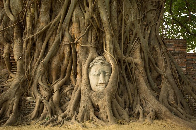 From Bangkok: Ayutthaya Temples Small Group Tour with Lunch - Wat Yai Chai Mongkol: chedi scale and a meditation legacy