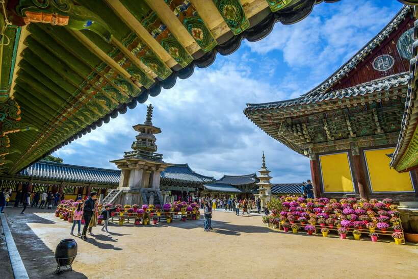 From Busan: Gyeongju UNESCO World Heritage Guided Day Tour - Who This Day Trip Suits Best (and Who Should Skip It)