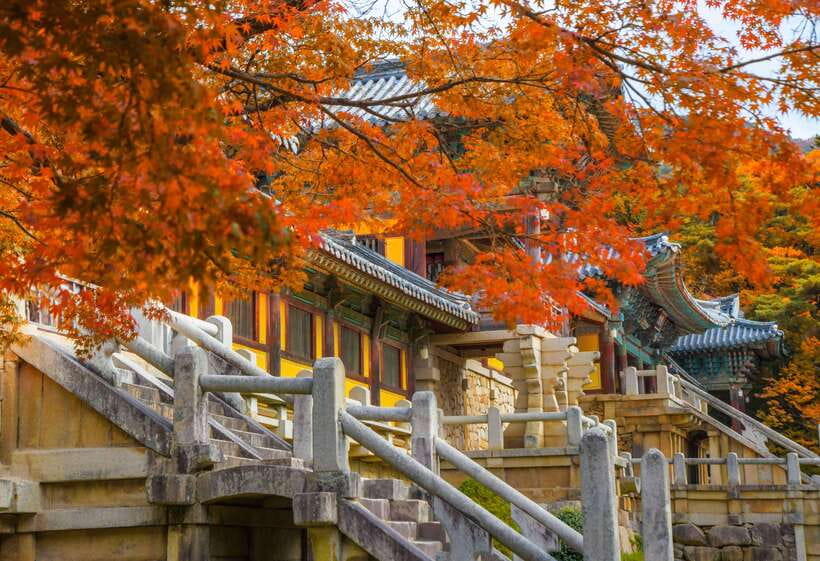 From Busan: Gyeongju UNESCO World Heritage Guided Day Tour - Price and What You Actually Get for $52