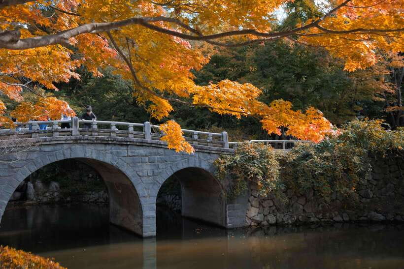 From Busan: Gyeongju UNESCO World Heritage Guided Day Tour - Yangdong vs Gyochon: Village Time You Can Actually Enjoy