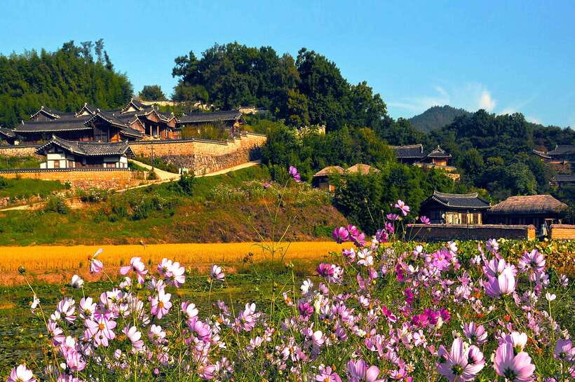 From Busan: Gyeongju UNESCO World Heritage Guided Day Tour - Logistics from Busan: Meeting Points, Timing, and Comfort