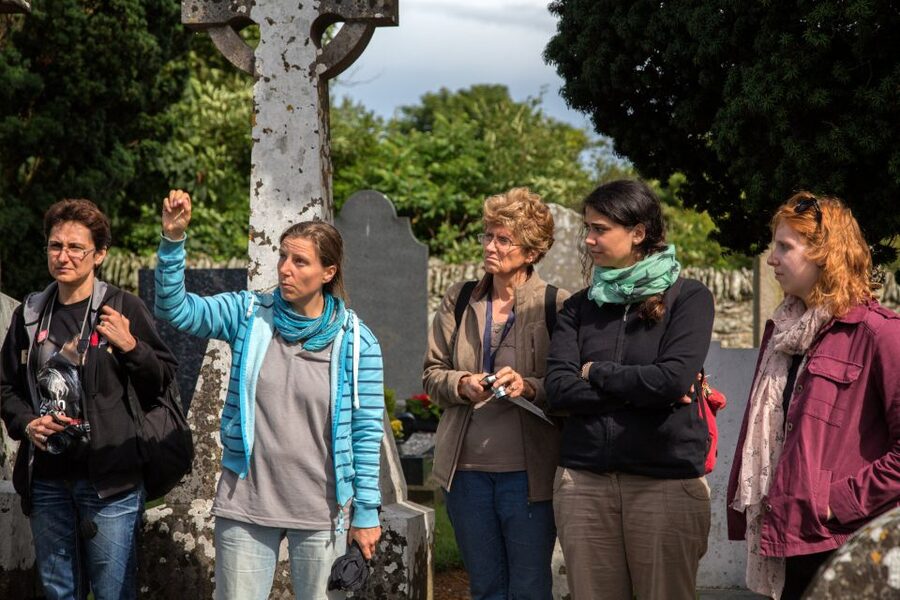 From Dublin: Celtic Boyne Valley and Ancient Sites Tour - Key things I’d circle before you book