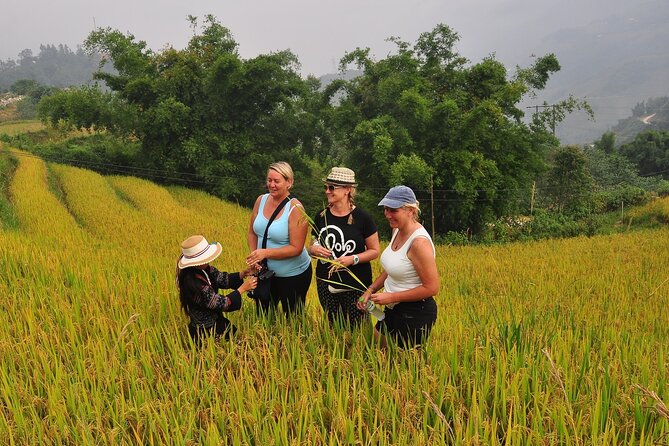 From Hanoi : Sapa Moutain Trek - Halong bay Heritage - Day 1 in Sapa: Early Hanoi Pickup and Black H’mong Village Time