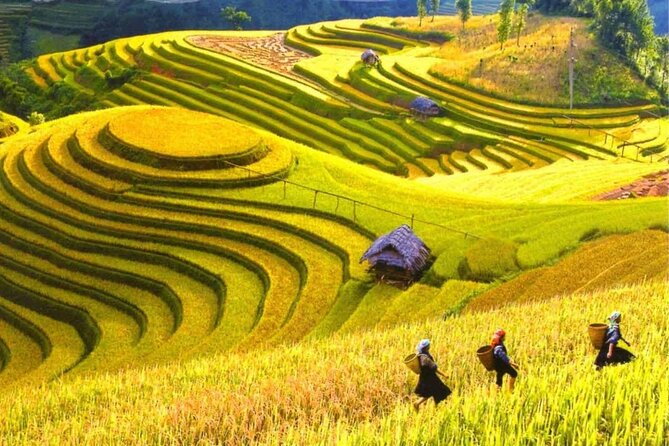 From Hanoi : Sapa Moutain Trek - Halong bay Heritage - Price and Value: What You’re Really Paying For at $372.46