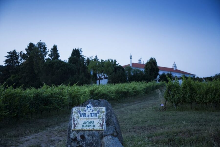 From Lisbon: Évora Wine & Heritage Tour - The Chapel of Bones (Capela dos Ossos): not for faint hearts