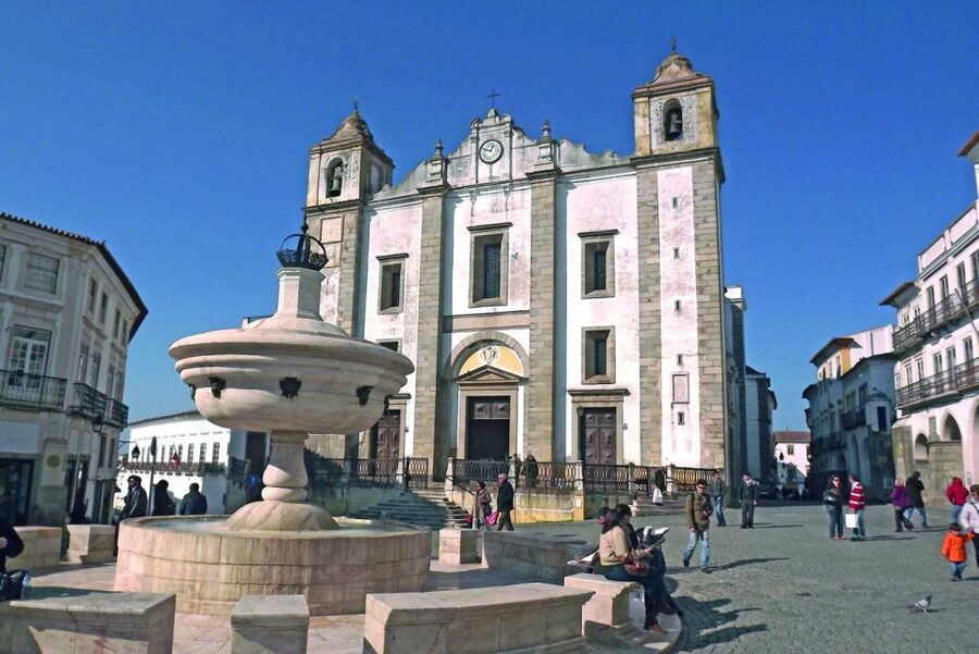 From Lisbon: Évora Wine & Heritage Tour - Wine tasting in the Alentejo tradition: what you’re actually buying