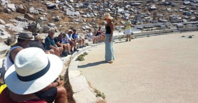 From Mykonos: Ancient Delos Tour - Walking the Sacred Way: Apollo, Artemis, Agora, and the Terrace of Lions
