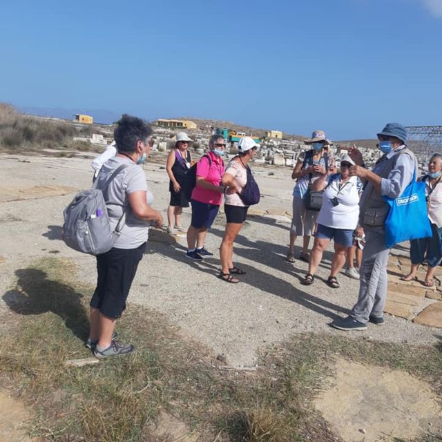 From Mykonos: Ancient Delos Tour - FAQ