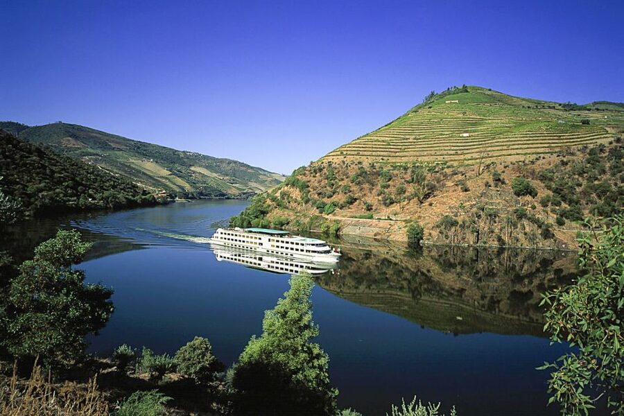 From Porto: Full-Day Douro Historical Tour - Key things to know before you go
