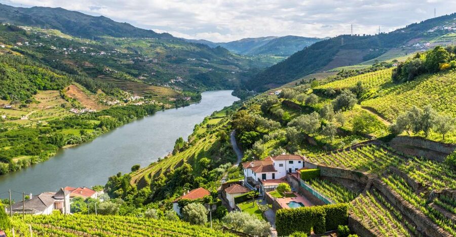 From Porto: Full-Day Douro Historical Tour - A Porto-to-Douro day that actually stays on track