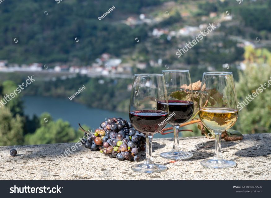 From Porto: Full-Day Douro Historical Tour - Amarante: a historic riverside town with real focus