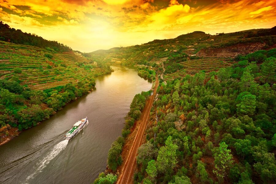 From Porto: Full-Day Douro Historical Tour - The 10-minute viewpoint stop: perfect for quick photos