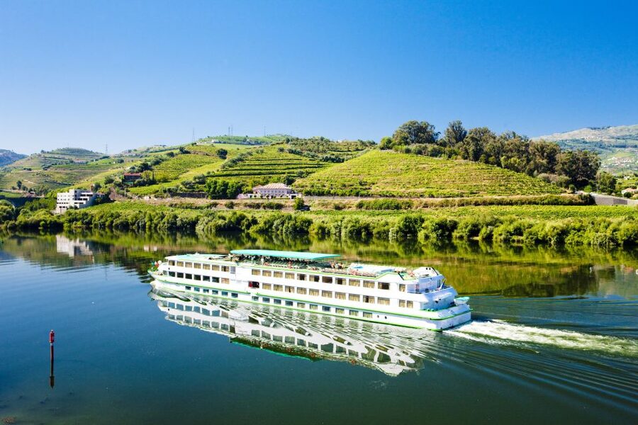 From Porto: Full-Day Douro Historical Tour - Lunch in the Douro region: your energy checkpoint