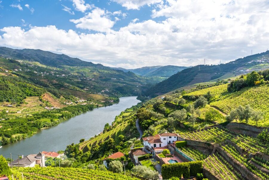 From Porto: Full-Day Douro Historical Tour - Meeting point near St. Bento: show up ready