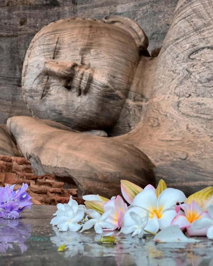 From Sigiriya :Polonnaruwa Ancient City Tour/Day Tour - Key things that make this Polonnaruwa day tour special