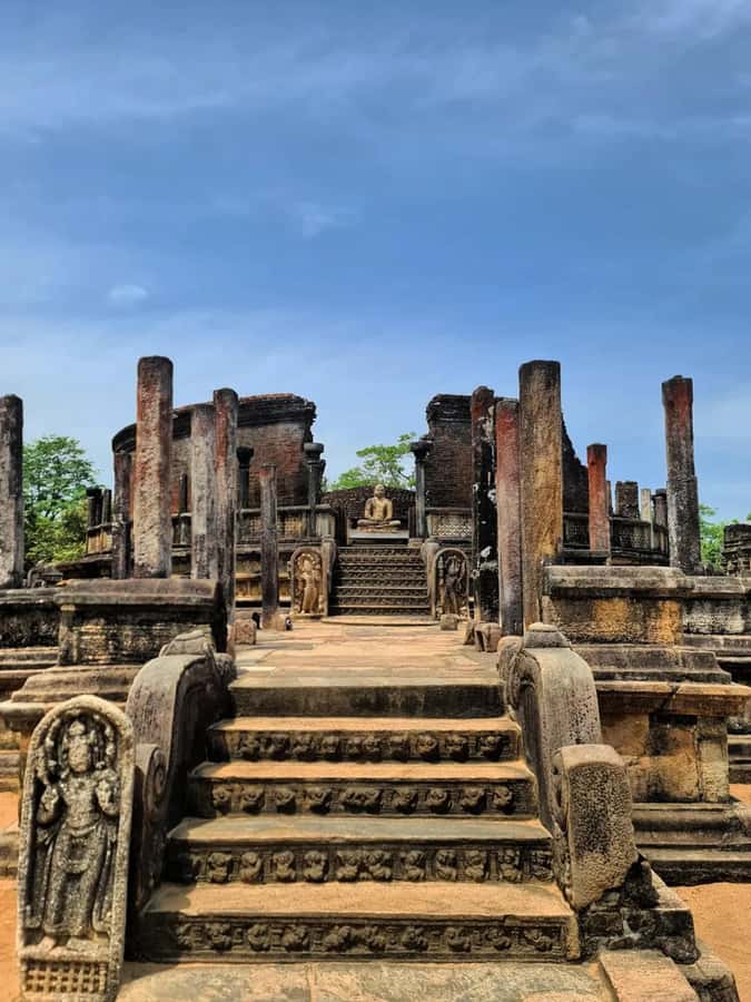 From Sigiriya :Polonnaruwa Ancient City Tour/Day Tour - Minneriya or Hurulu elephant safari: why it’s the headline