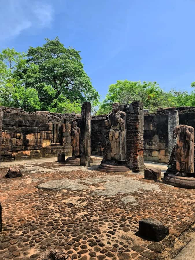 From Sigiriya :Polonnaruwa Ancient City Tour/Day Tour - Royal Palace Complex, Vatadage, and Lotus Pond: the quieter power stops