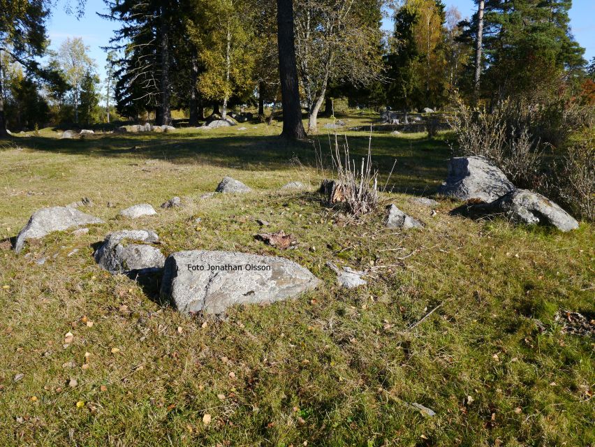 From Stockholm: Viking Culture and Heritage Small Group Tour - Price and Value: Is $138 Worth It for 3 Hours?