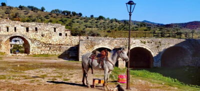 From Tirana: Berat UNESCO Heritage & Belshi Lake Tour - Belshi Lake: a quiet break before the old-city climb