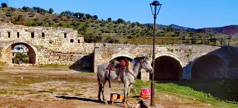 From Tirana: Berat UNESCO Heritage & Belshi Lake Tour - Belshi Lake: a quiet break before the old-city climb