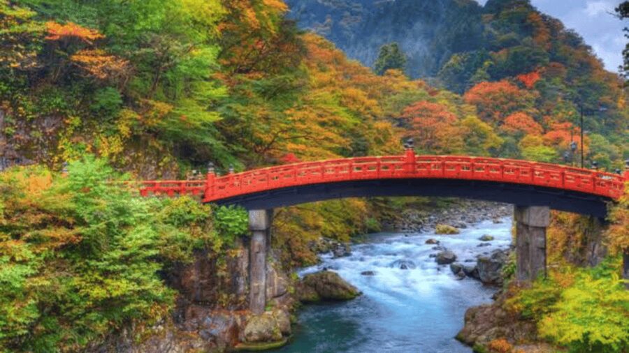 From Tokyo: Nikko World Heritage Full Day Private Tour - Nikko Toshogu Shrine: Tokugawa Ieyasu and the Details That Make It