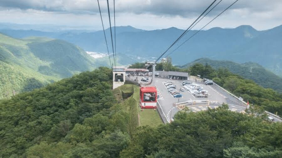 From Tokyo: Nikko World Heritage Full Day Private Tour - Shinkyo Bridge: A Photogenic Gateway with Real Historical Weight