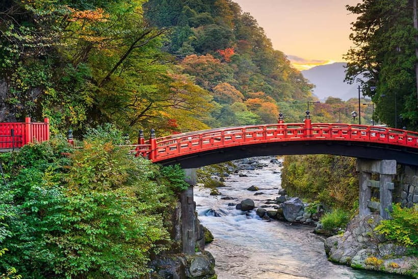From Tokyo: Nikko World Heritage Sight Full Day Private Tour - Picking a car you’ll be happy sitting in for 10 hours