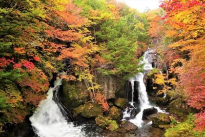 From Tokyo: Nikko World Heritage Sight Full Day Private Tour - Price and value for a group up to 6