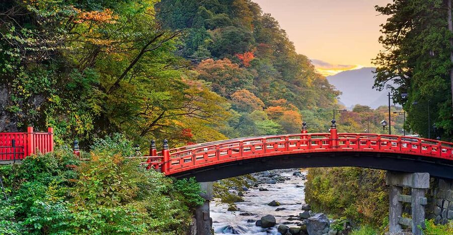 From Tokyo: Nikko World Heritage Sight Full Day Private Tour - Toshogu Shrine: where the details do the talking