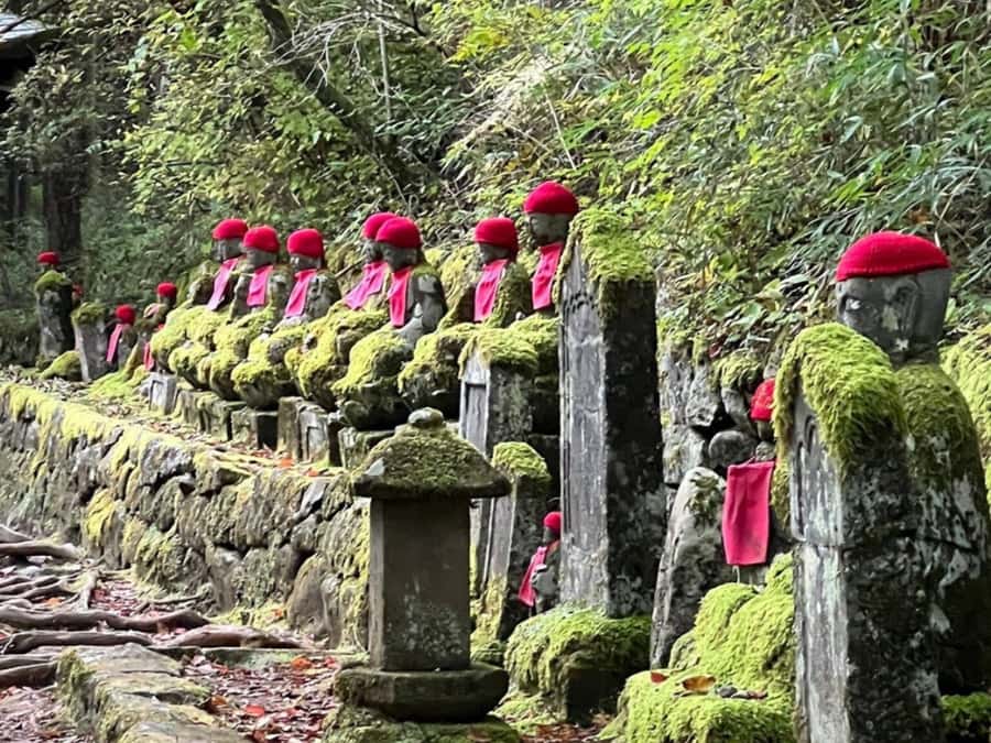 From Tokyo: Private Nikko World Heritage Sights One Day Trip - Toshogu Shrine: UNESCO Details You Should Not Rush